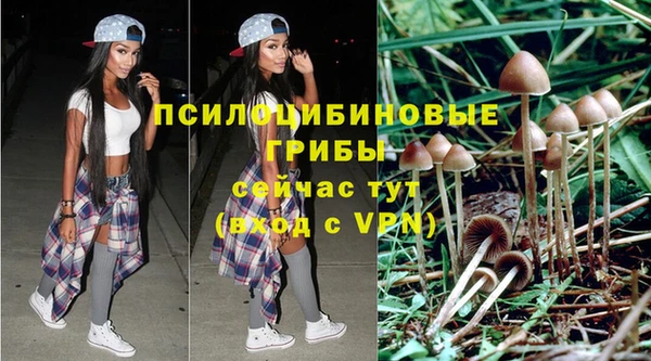 стафф Арсеньев